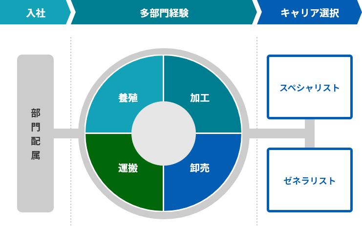 入社時に養殖、加工、運搬、卸売いずれかの部門に配属されますが、横断して多部門ご経験いただきます。その後は単一部門を選んでスペシャリストになることも、複数部門を選んでゼネラリストになることも可能です。