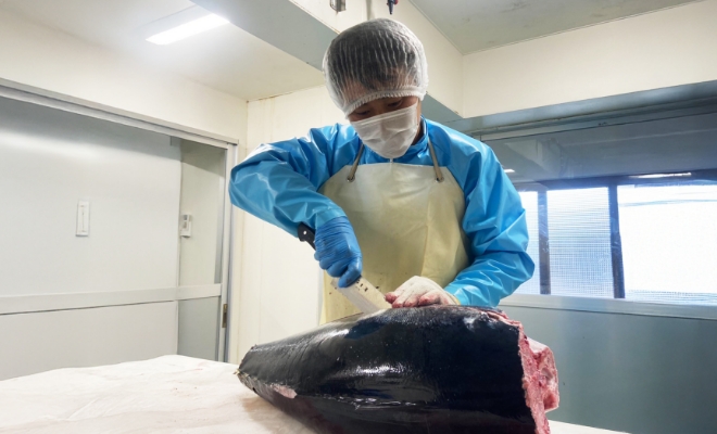 加工場で作業着を着たF.T.さんが、マグロのブロックをさばいている様子